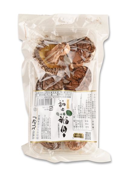 Shiitake Pilz