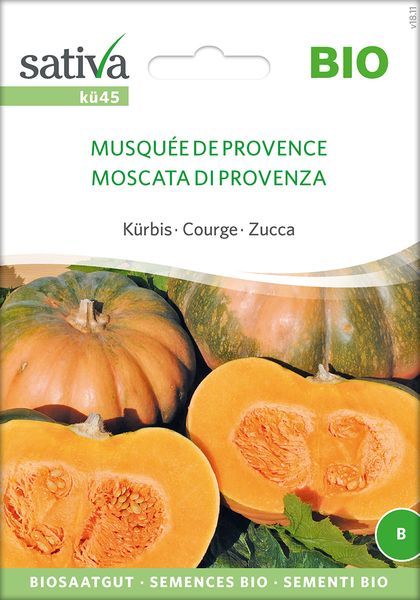 Kürbis 'Musquée de Provence' Saatgut