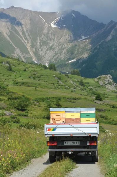 Wanderung ins Hochgebirge