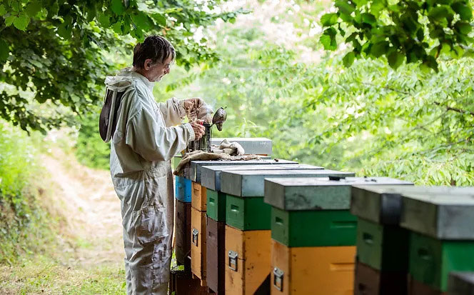 Davide an seinen Bienenstöcken