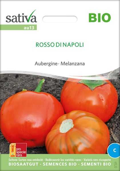 Aubergine 'Rosso di Napoli' - Saatgut