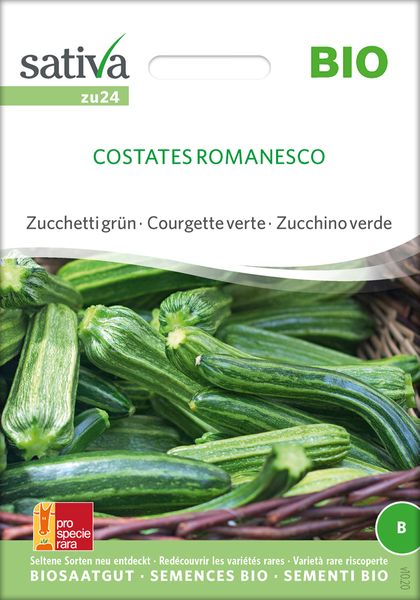 Zucchini 'Costates Romanesco' Saatgut