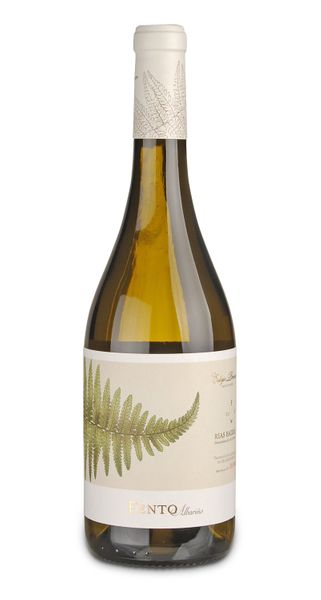 2023 FENTO ALBARIÑO, Fento Wines - Eulogio Pomares - Bairrada, Spanien