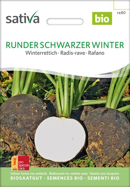 Schwarzer Winterrettich